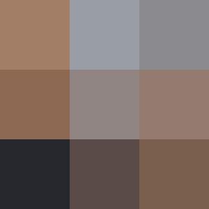 The main professionals that provide therapeutic